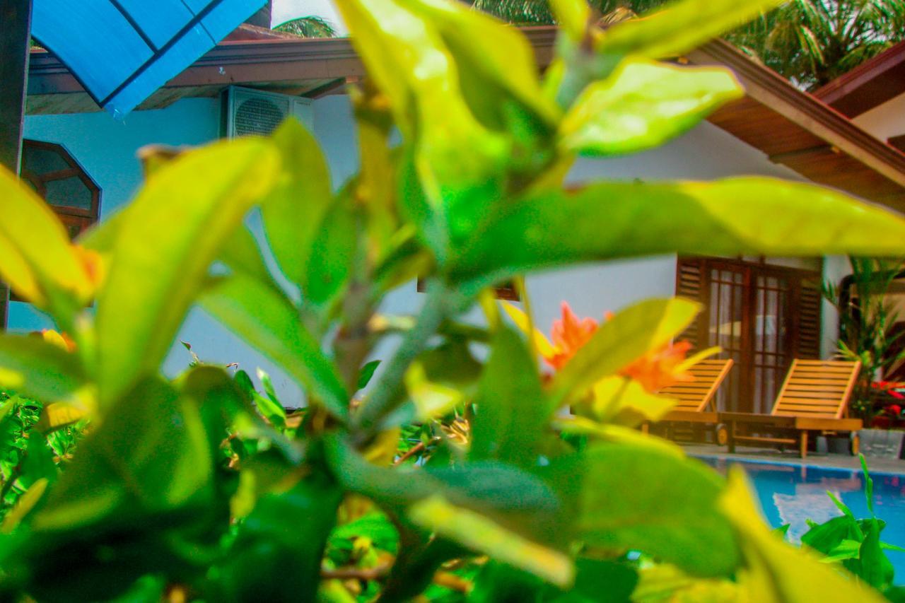 Sevonrich Holiday Resort Дамбулла Екстер'єр фото
